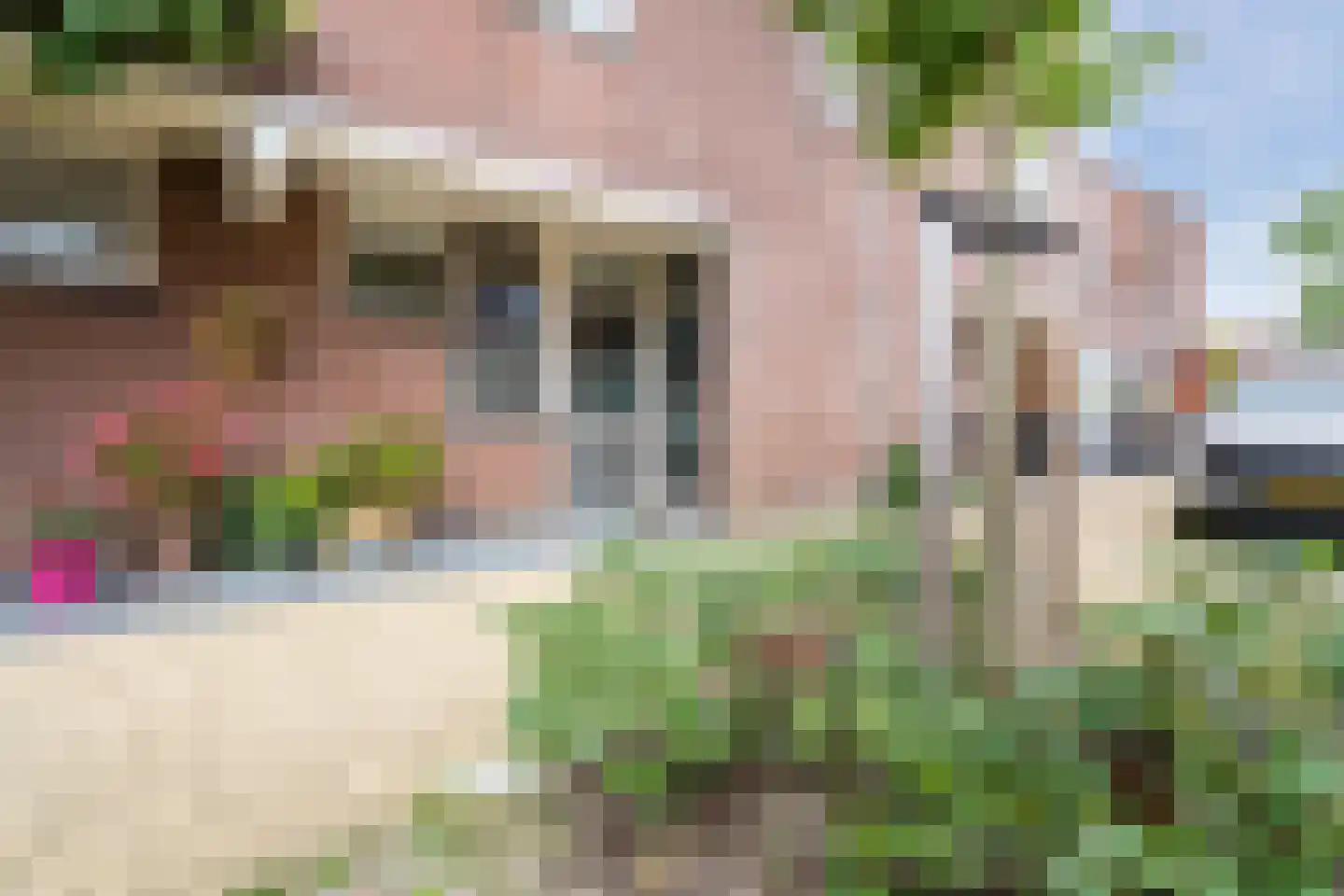 Rietzangerstraat 9 Delft thumbnail 45