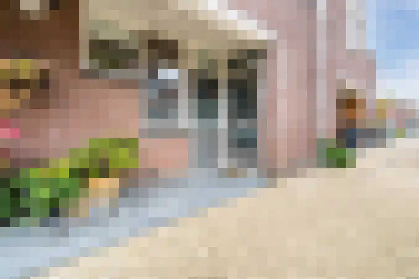Rietzangerstraat 9 Delft thumbnail 6