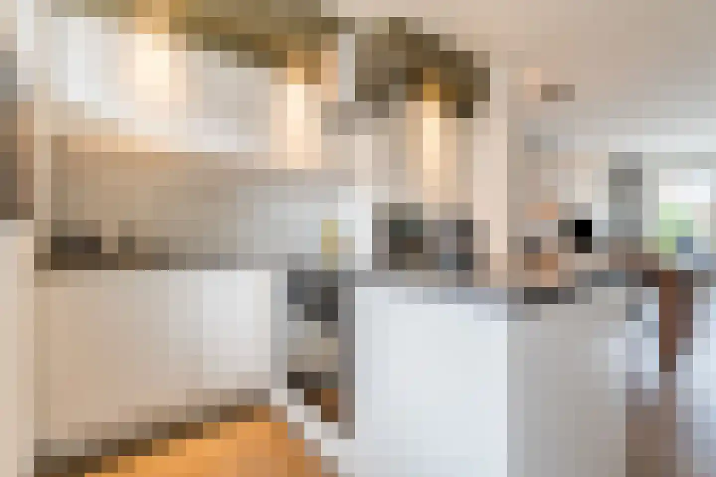 Rietzangerstraat 9 Delft thumbnail 8