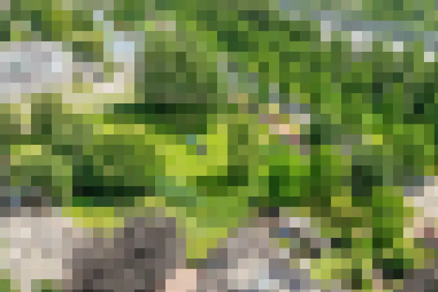 Rietzangerweg 1 Diemen thumbnail 63