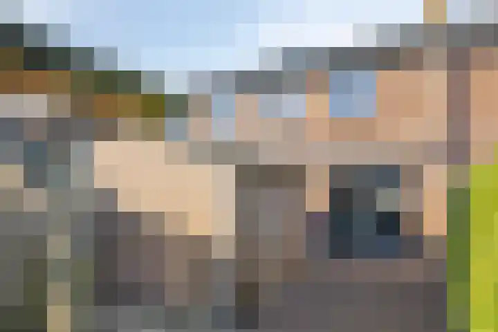 Rietzangerweg 17 Apeldoorn thumbnail 12