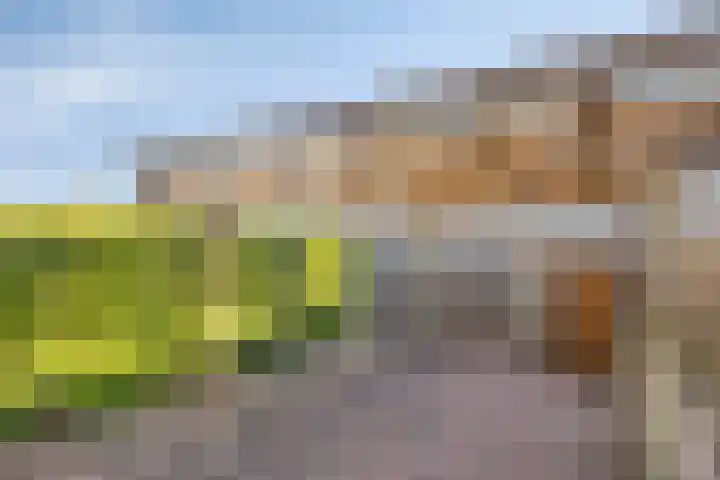 Rietzangerweg 17 Apeldoorn thumbnail 14