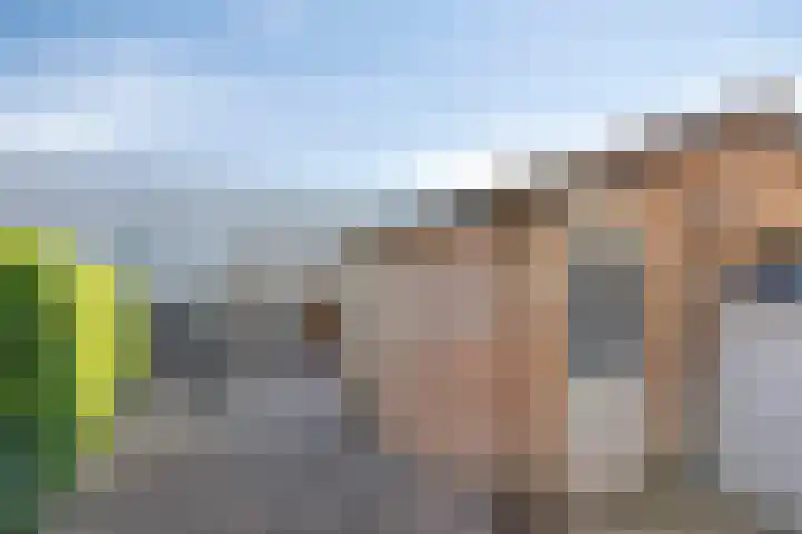 Rietzangerweg 17 Apeldoorn thumbnail 15