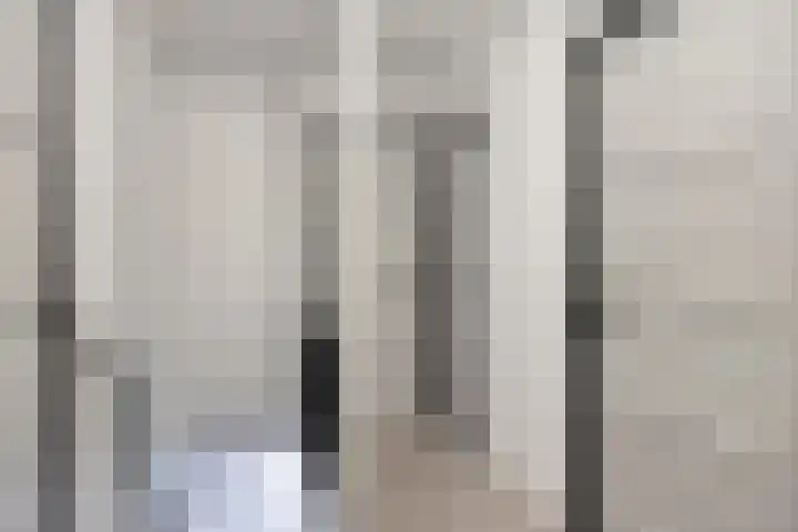 Rietzangerweg 17 Apeldoorn thumbnail 16