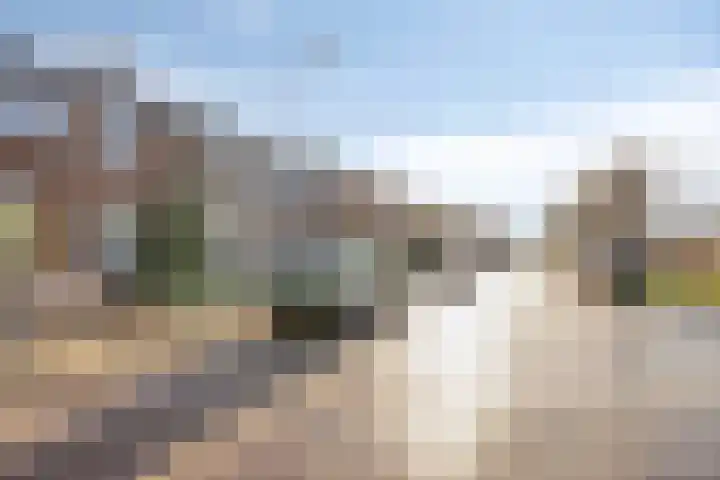 Rietzangerweg 17 Apeldoorn thumbnail 24