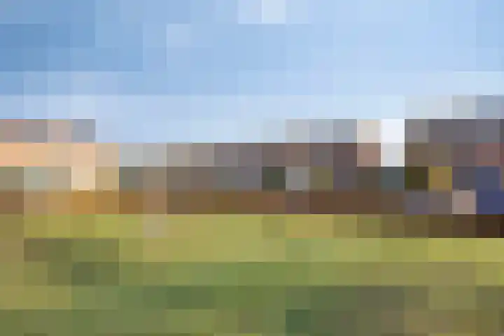 Rietzangerweg 17 Apeldoorn thumbnail 26