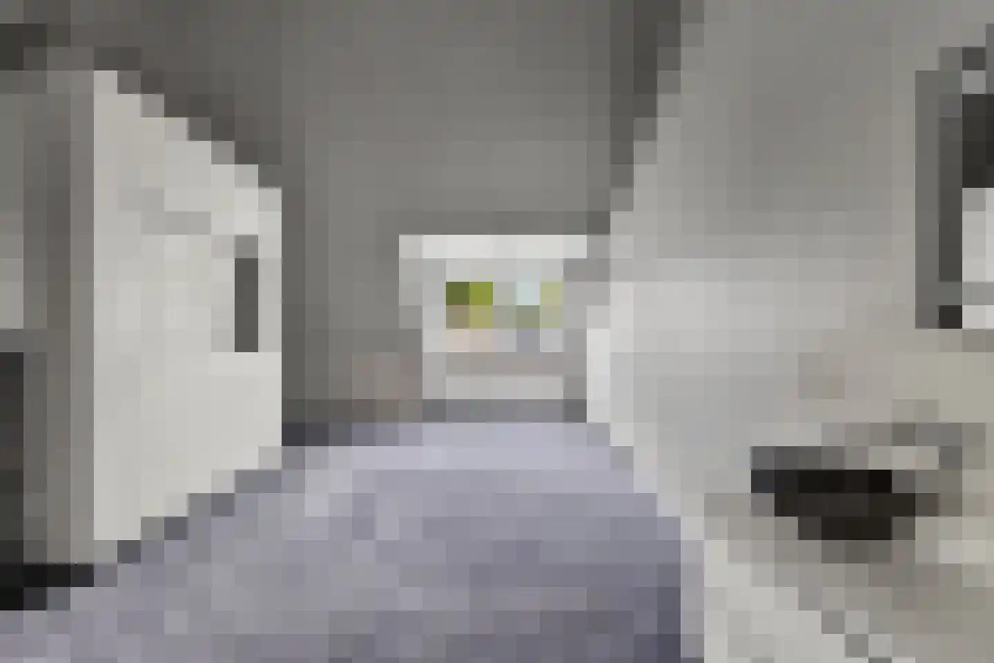 Rietzangerweg 25 Diemen thumbnail 27