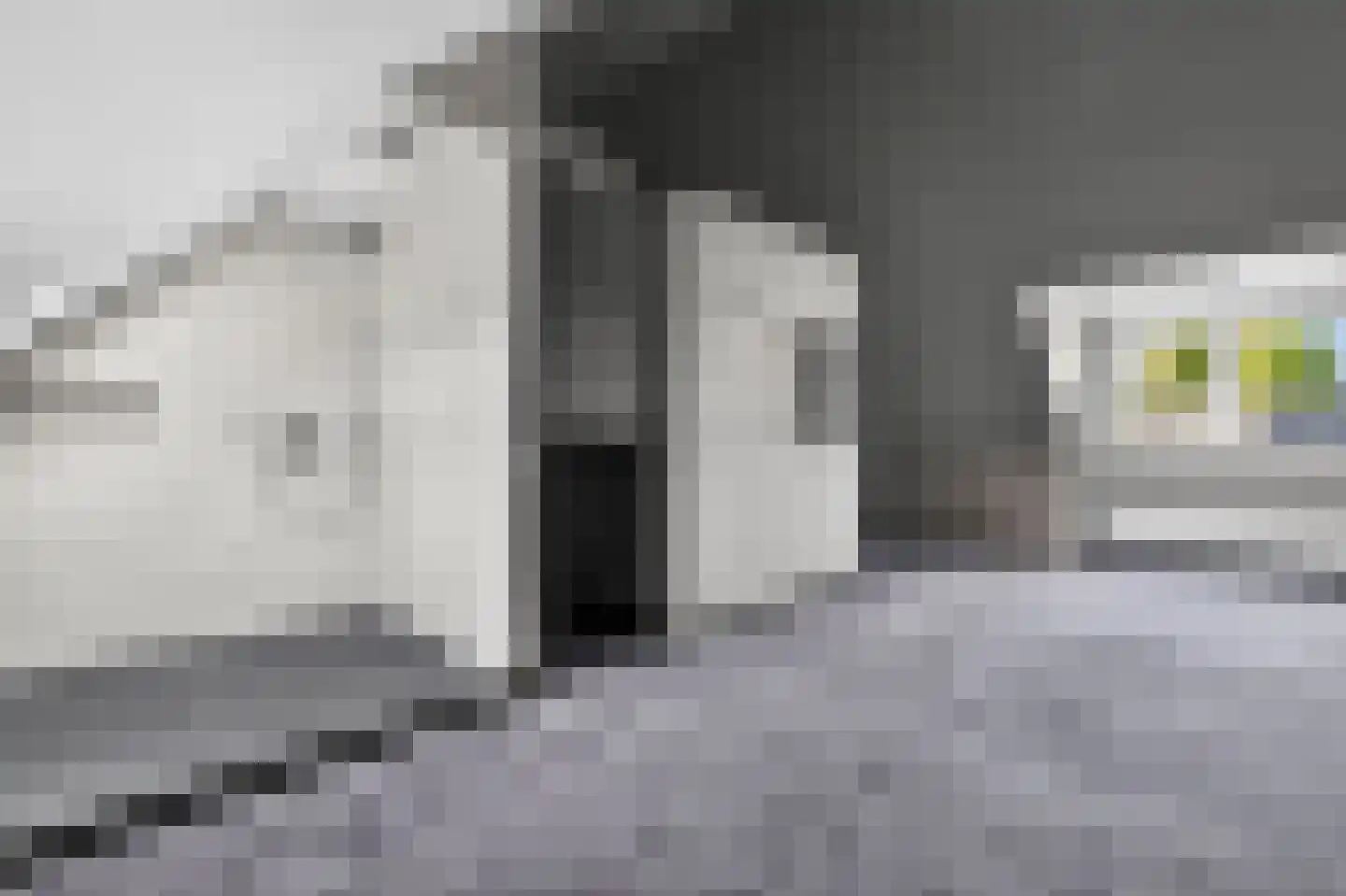 Rietzangerweg 25 Diemen thumbnail 28