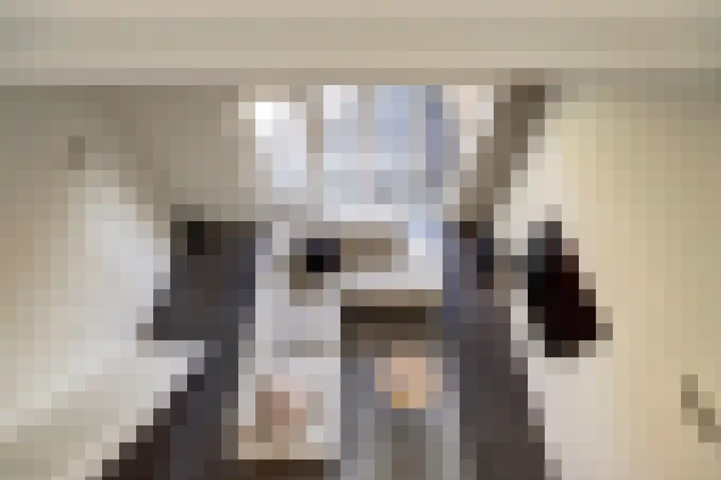 Rietzoom 10 Gouda thumbnail 10