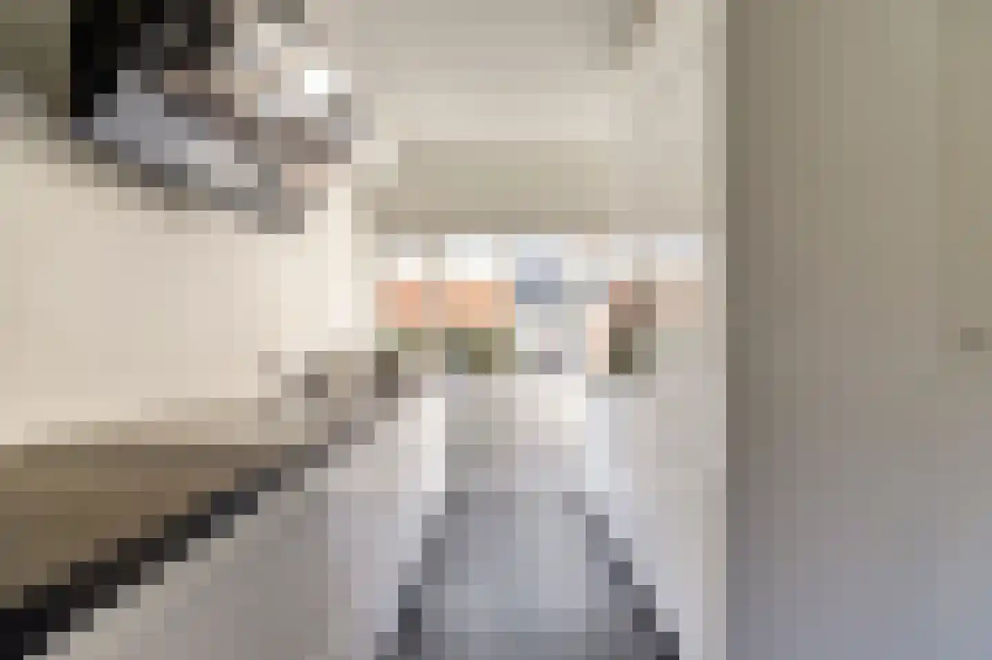 Rietzoom 10 Gouda thumbnail 11