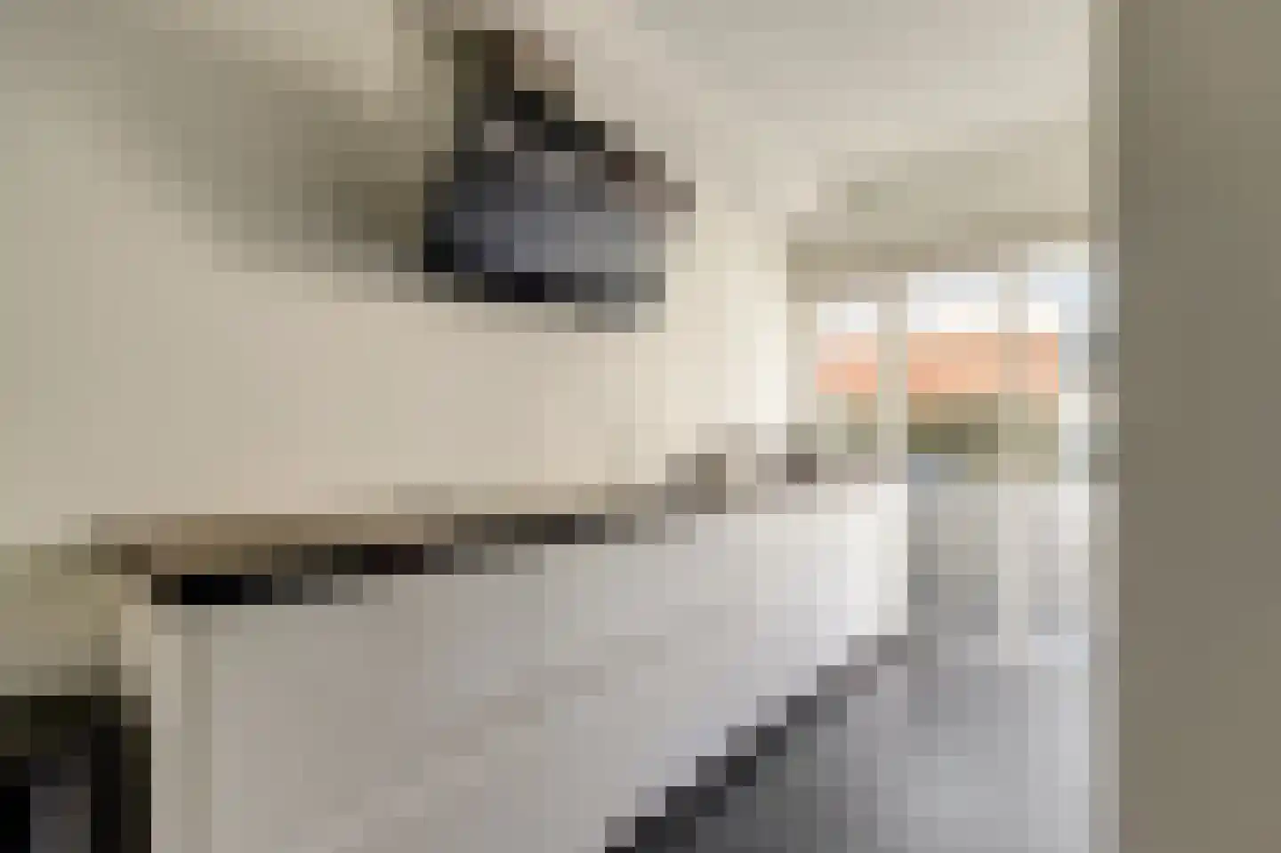 Rietzoom 10 Gouda thumbnail 12