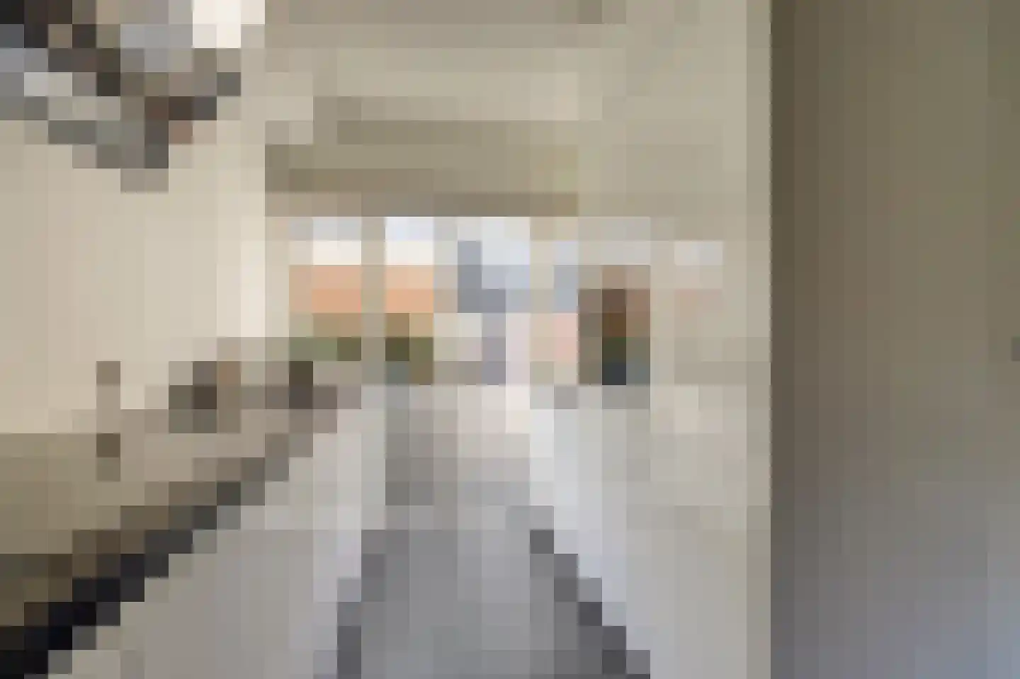 Rietzoom 10 Gouda thumbnail 13
