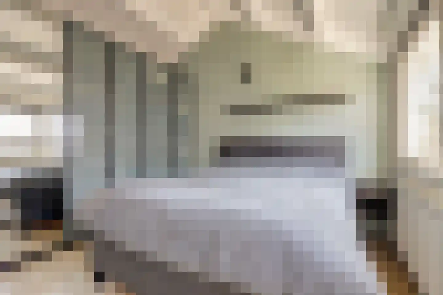 Rietzoom 10 Gouda thumbnail 18