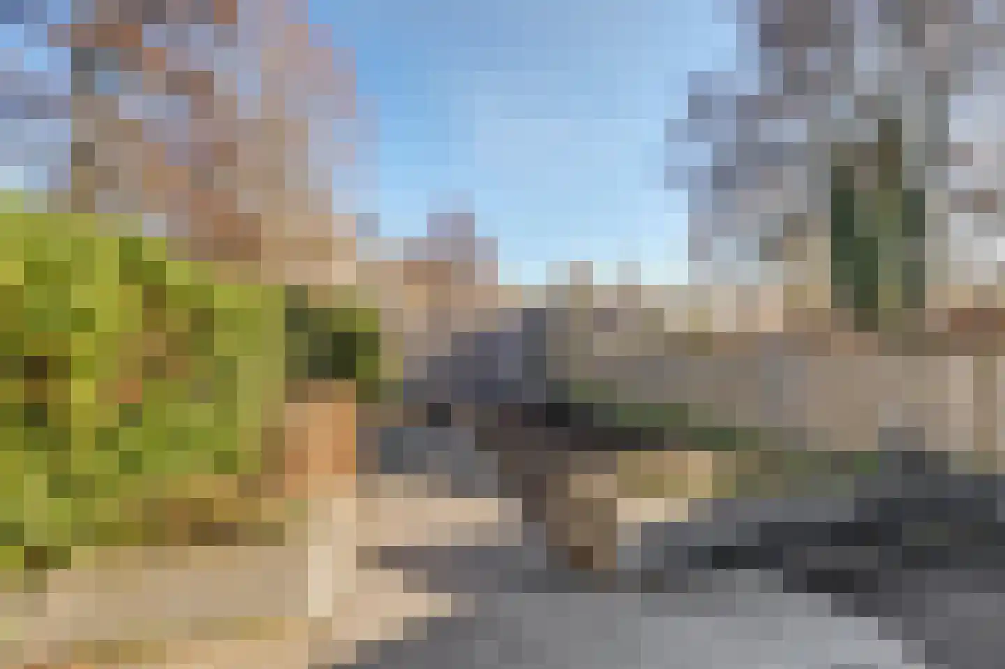 Rietzoom 10 Gouda thumbnail 23