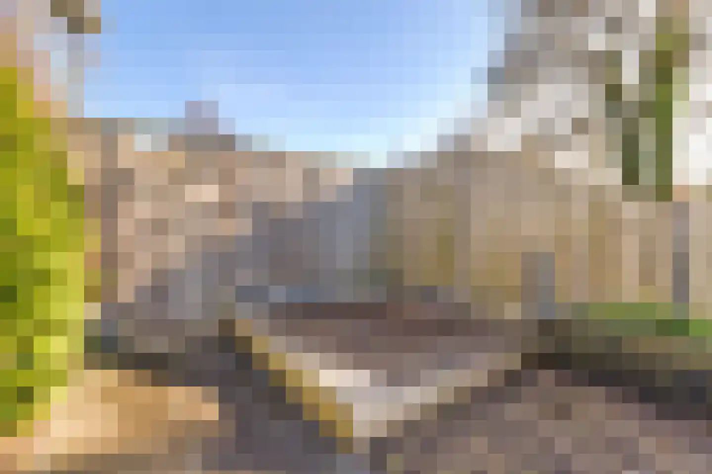 Rietzoom 10 Gouda thumbnail 24