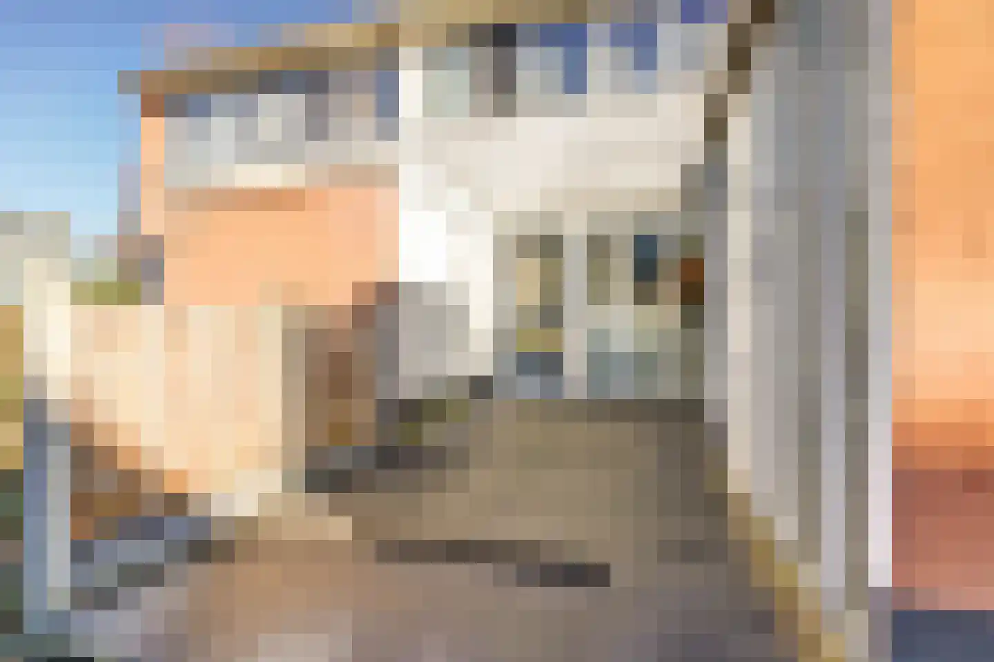 Rietzoom 10 Gouda thumbnail 27