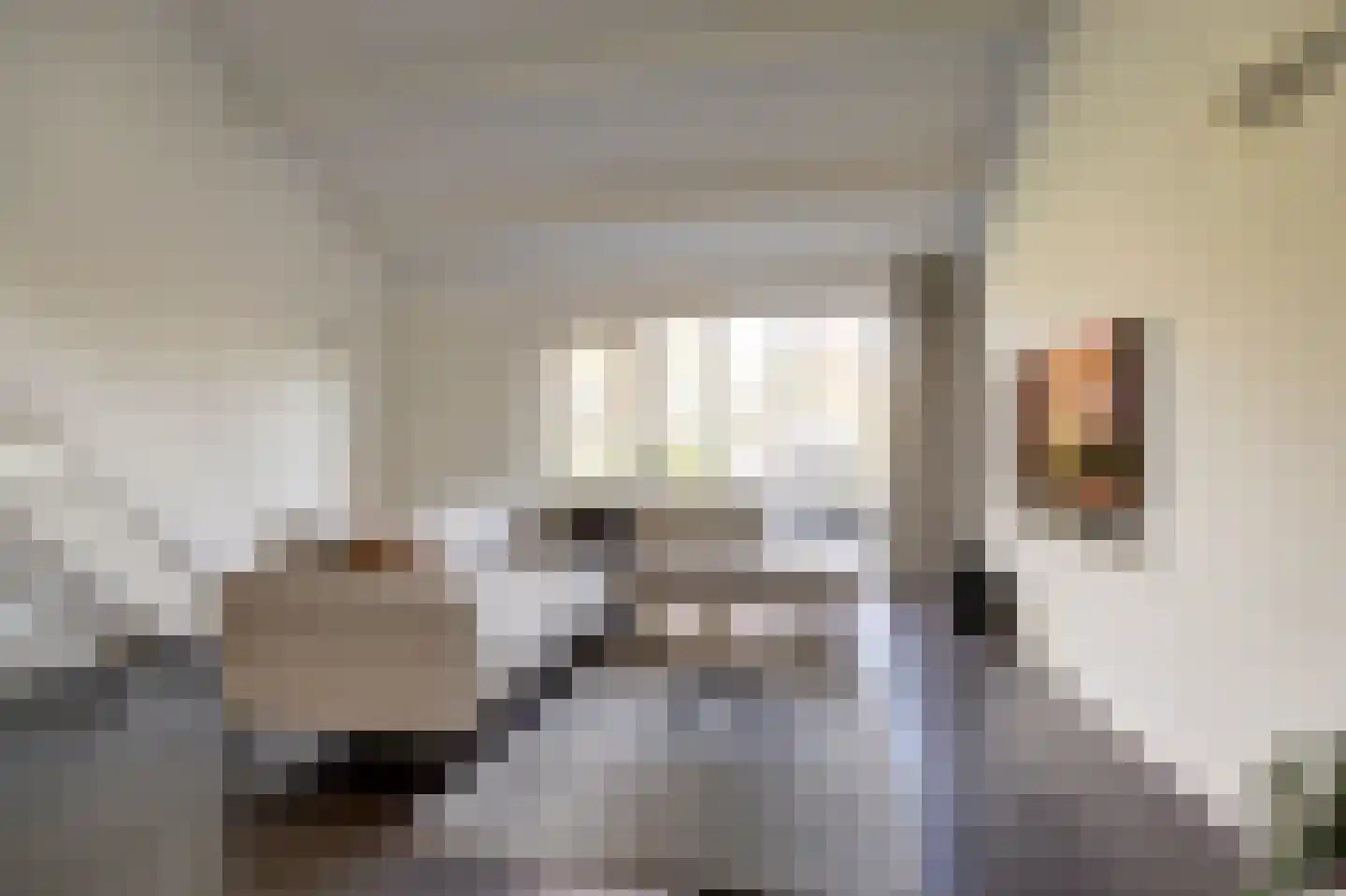 Rietzoom 10 Gouda thumbnail 5