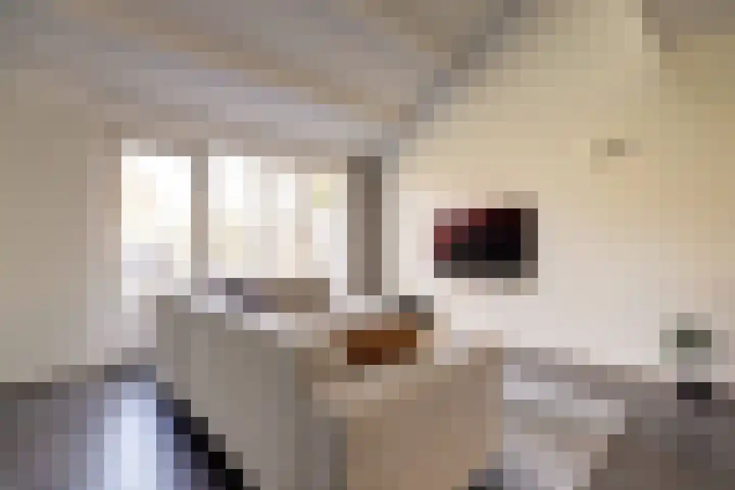 Rietzoom 10 Gouda thumbnail 6
