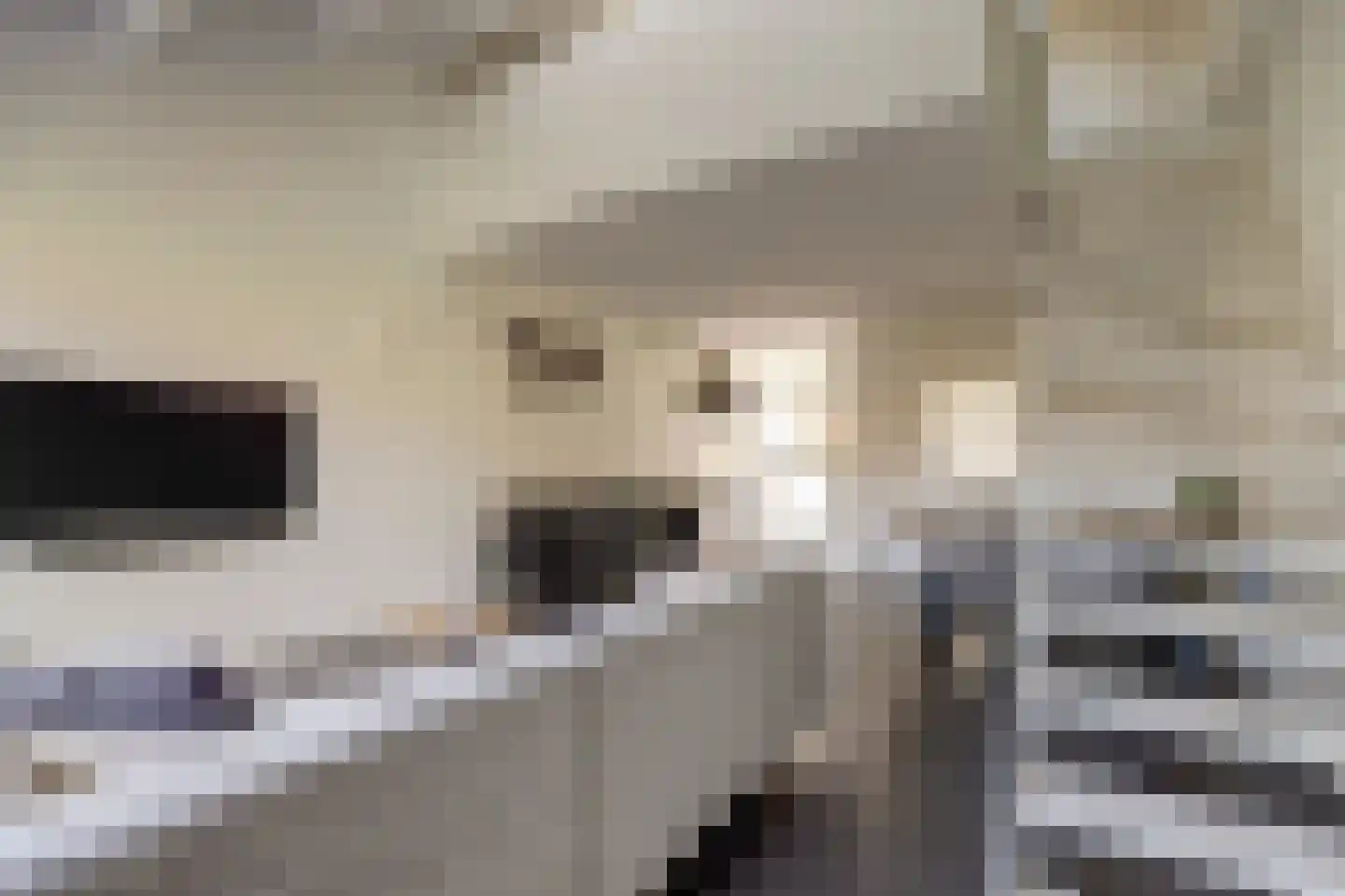 Rietzoom 10 Gouda thumbnail 7