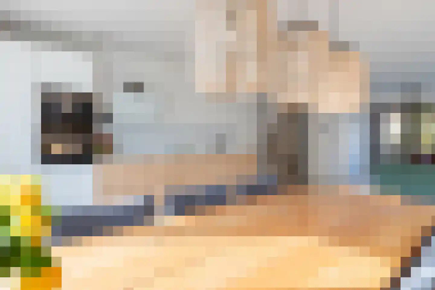 Rietzoom 105 Gouda thumbnail 19
