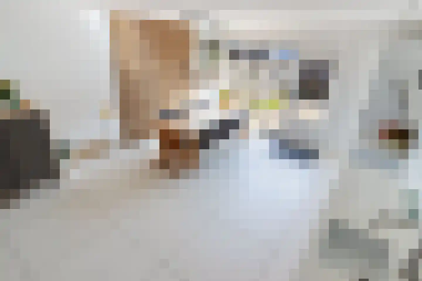 Rietzoom 105 Gouda thumbnail 23