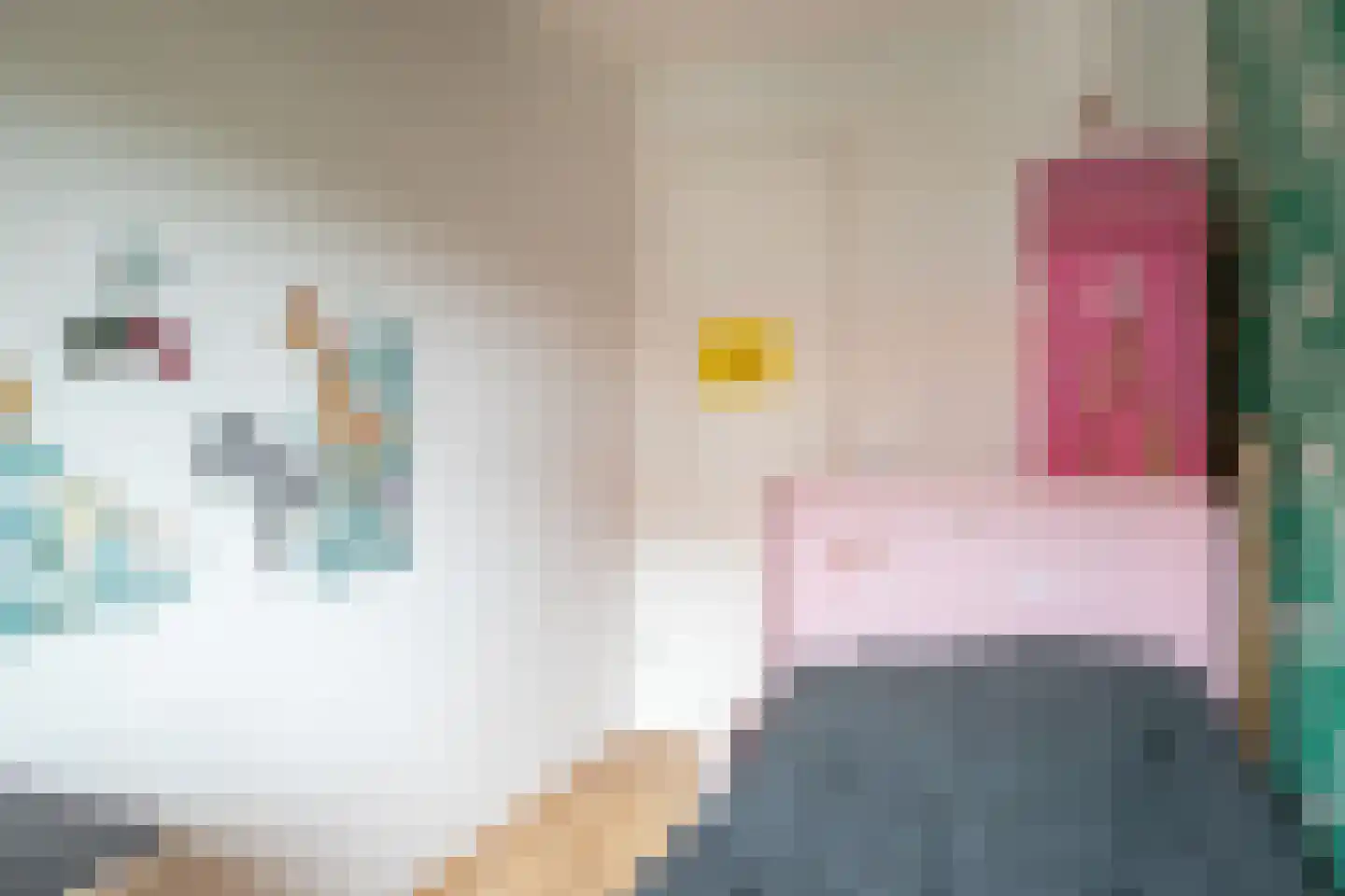 Rietzoom 105 Gouda thumbnail 28