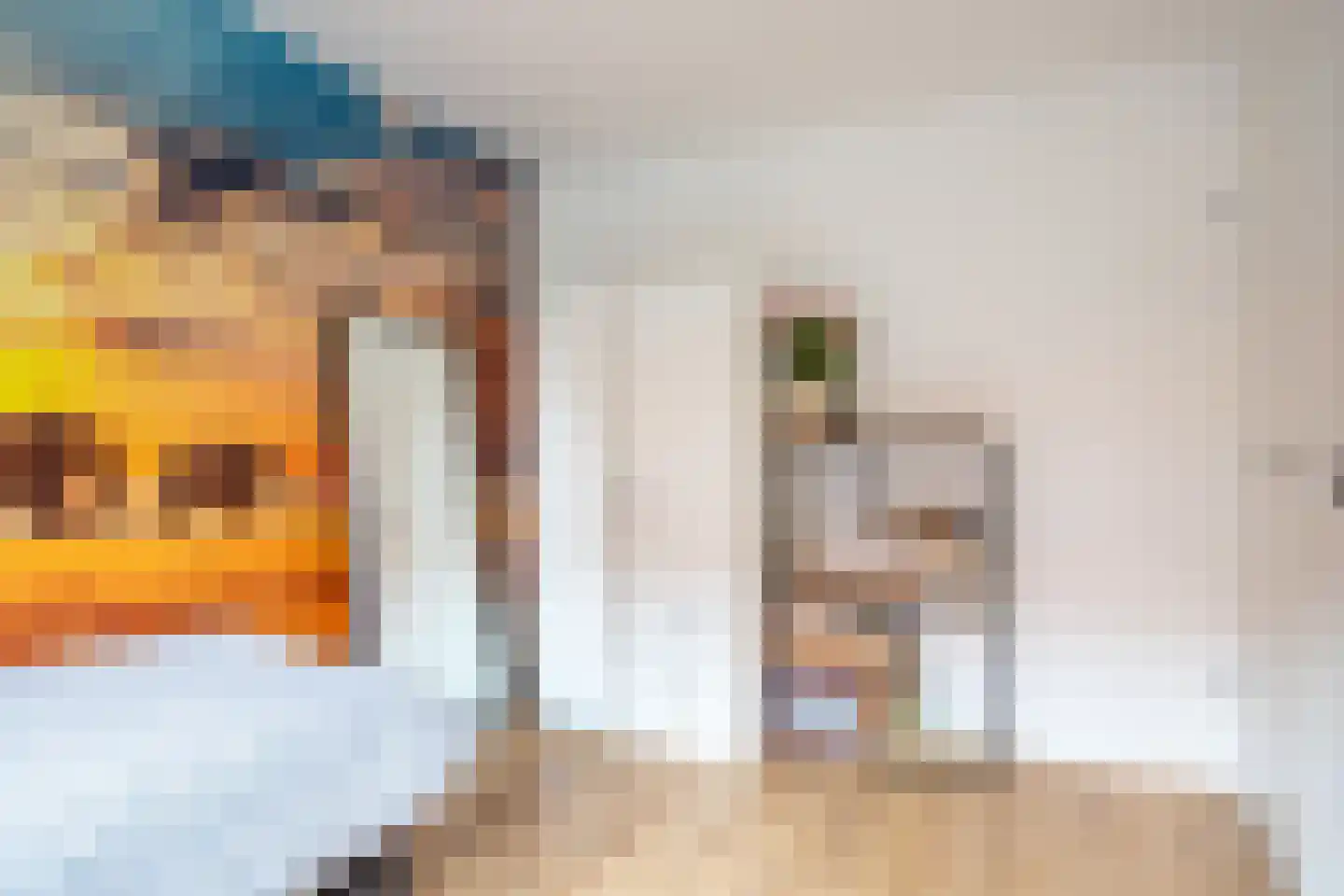 Rietzoom 105 Gouda thumbnail 31