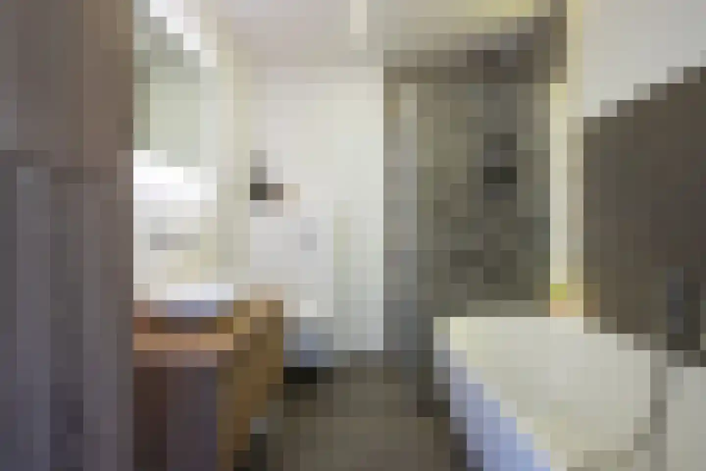 Rietzoom 105 Gouda thumbnail 38