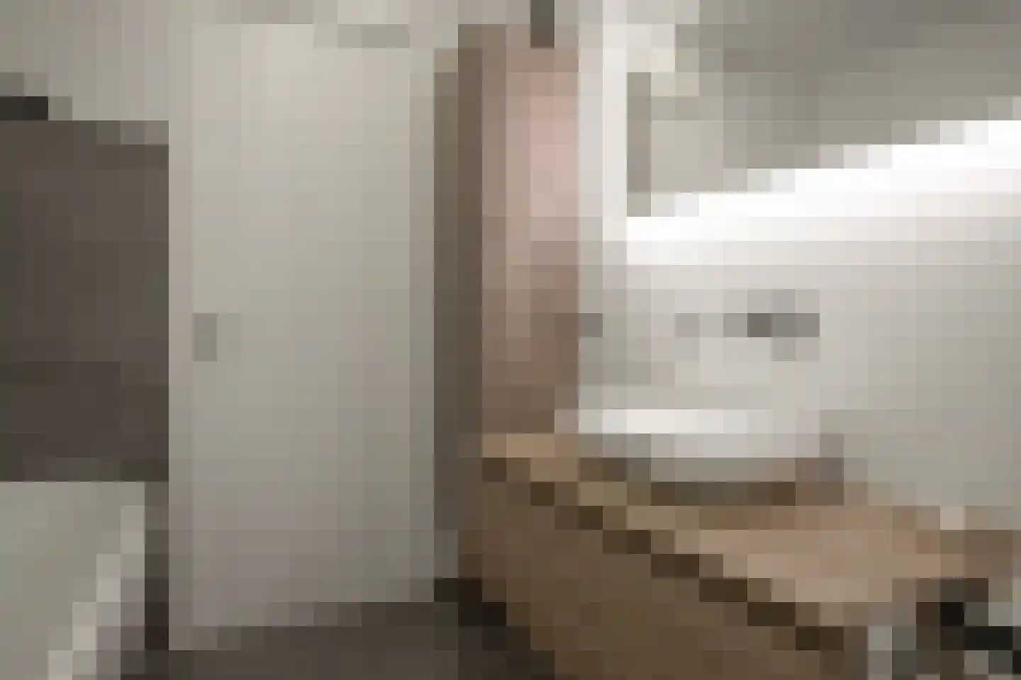 Rietzoom 105 Gouda thumbnail 39