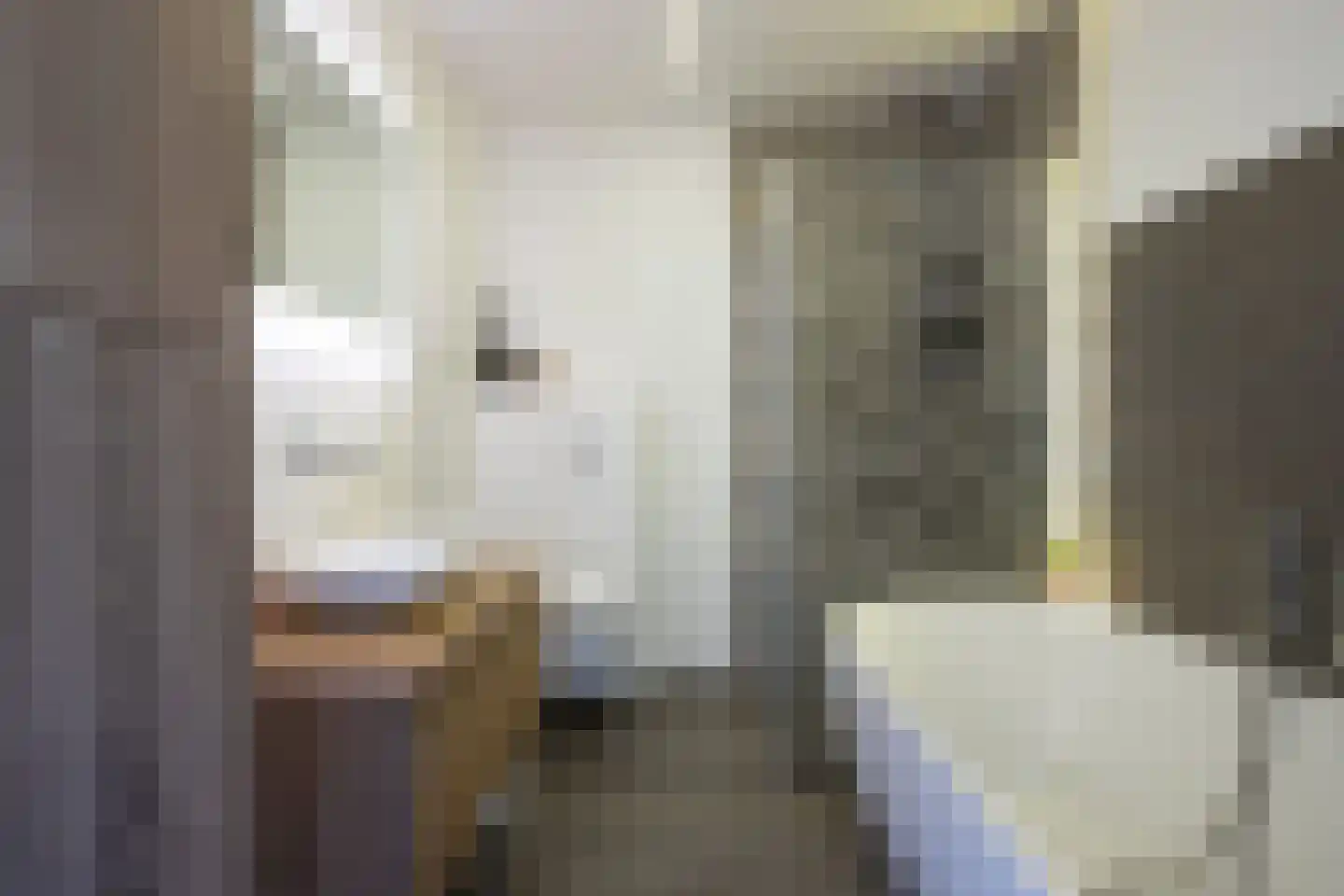 Rietzoom 105 Gouda thumbnail 4