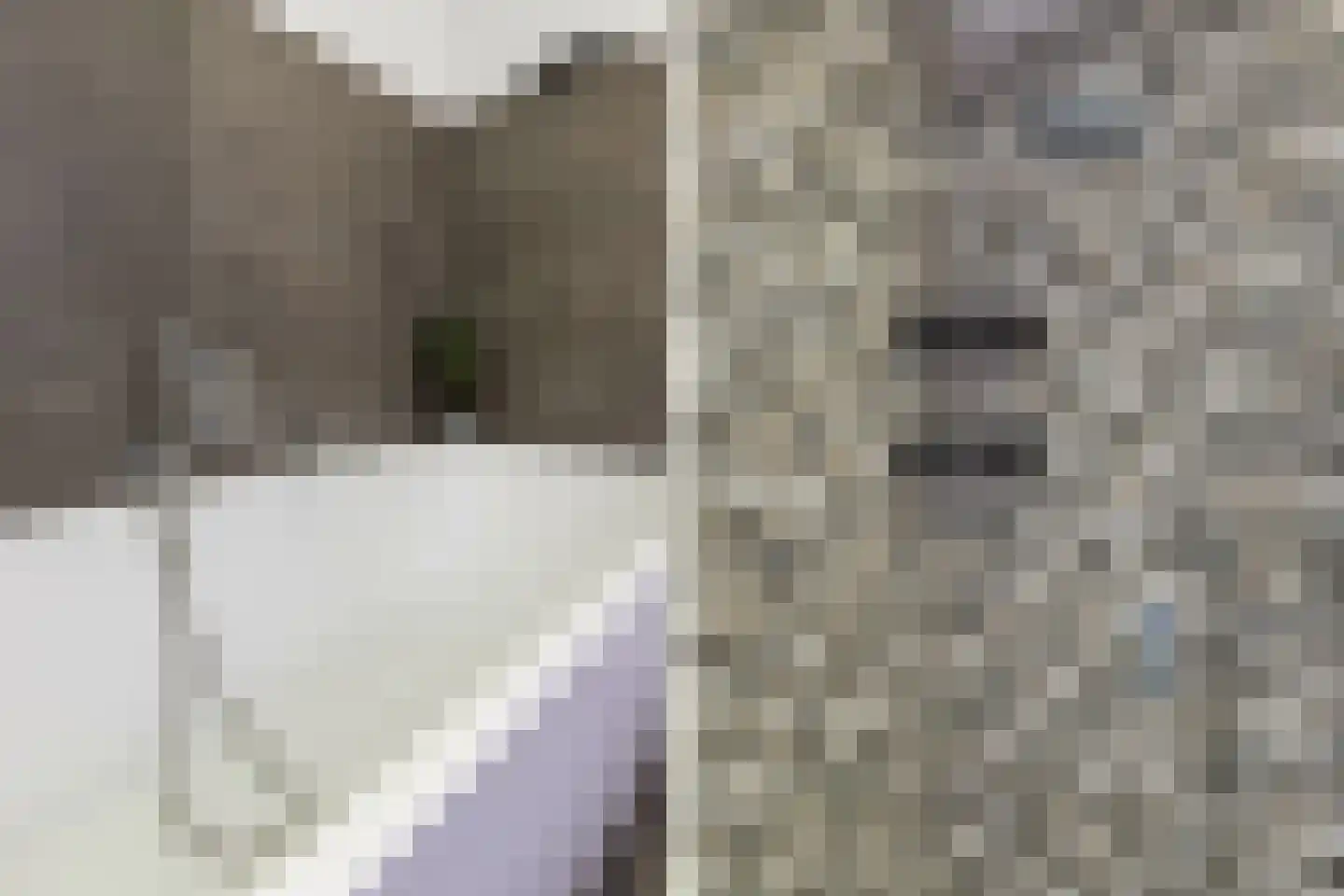 Rietzoom 105 Gouda thumbnail 40