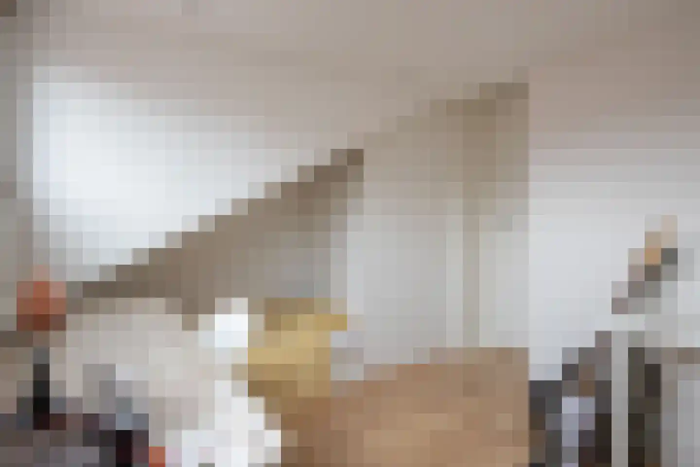 Rietzoom 105 Gouda thumbnail 46
