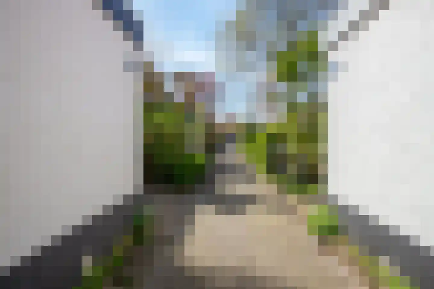 Rietzoom 105 Gouda thumbnail 53