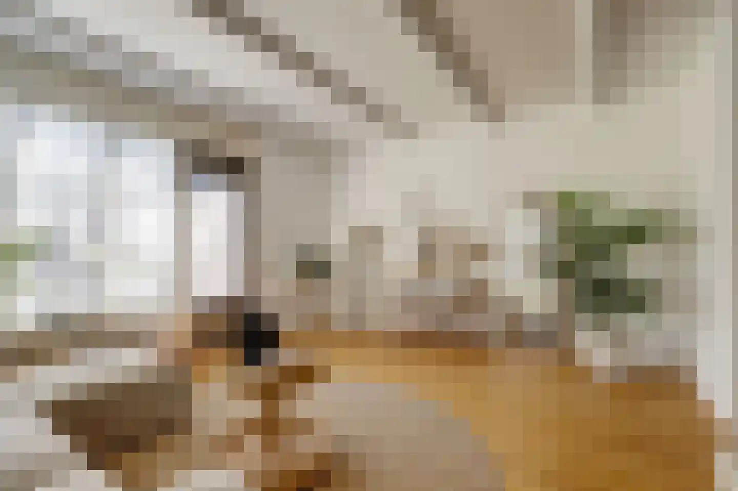 Rietzoom 137 Gouda thumbnail 11