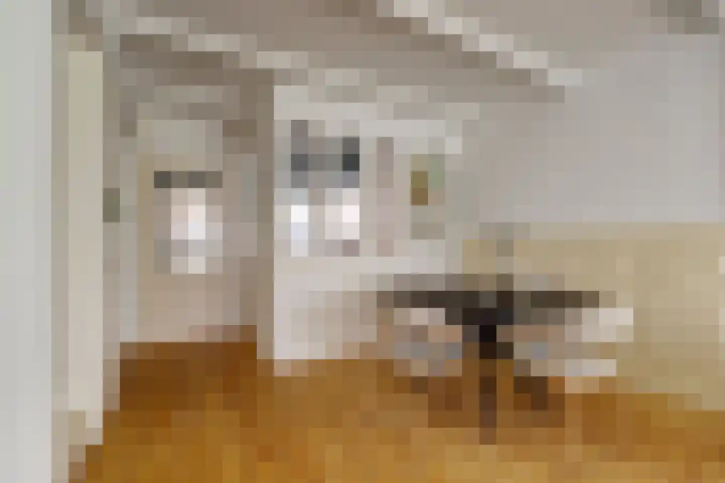 Rietzoom 137 Gouda thumbnail 12