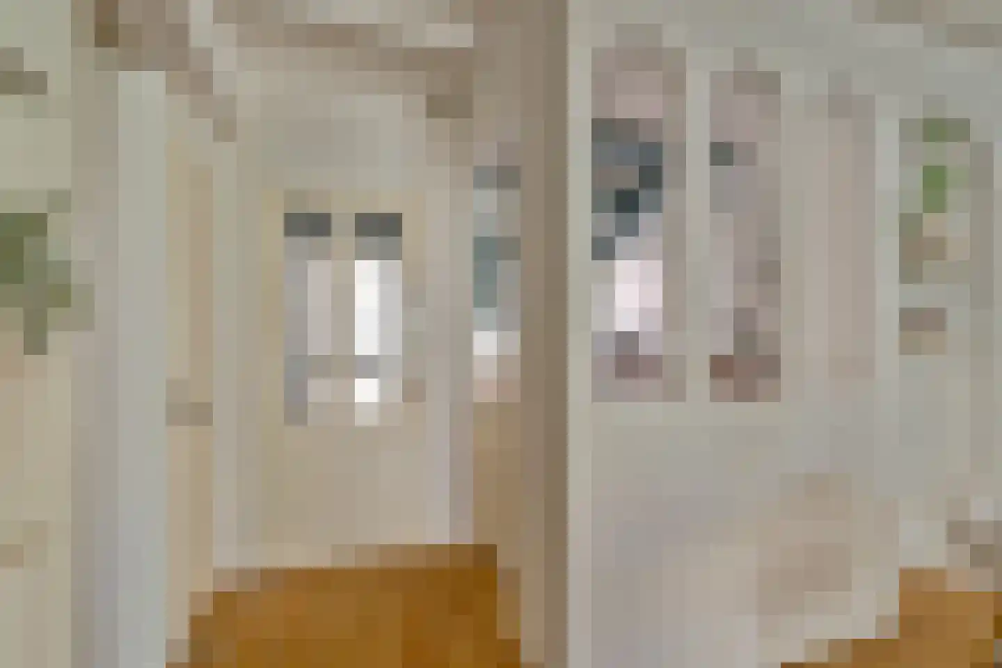 Rietzoom 137 Gouda thumbnail 15