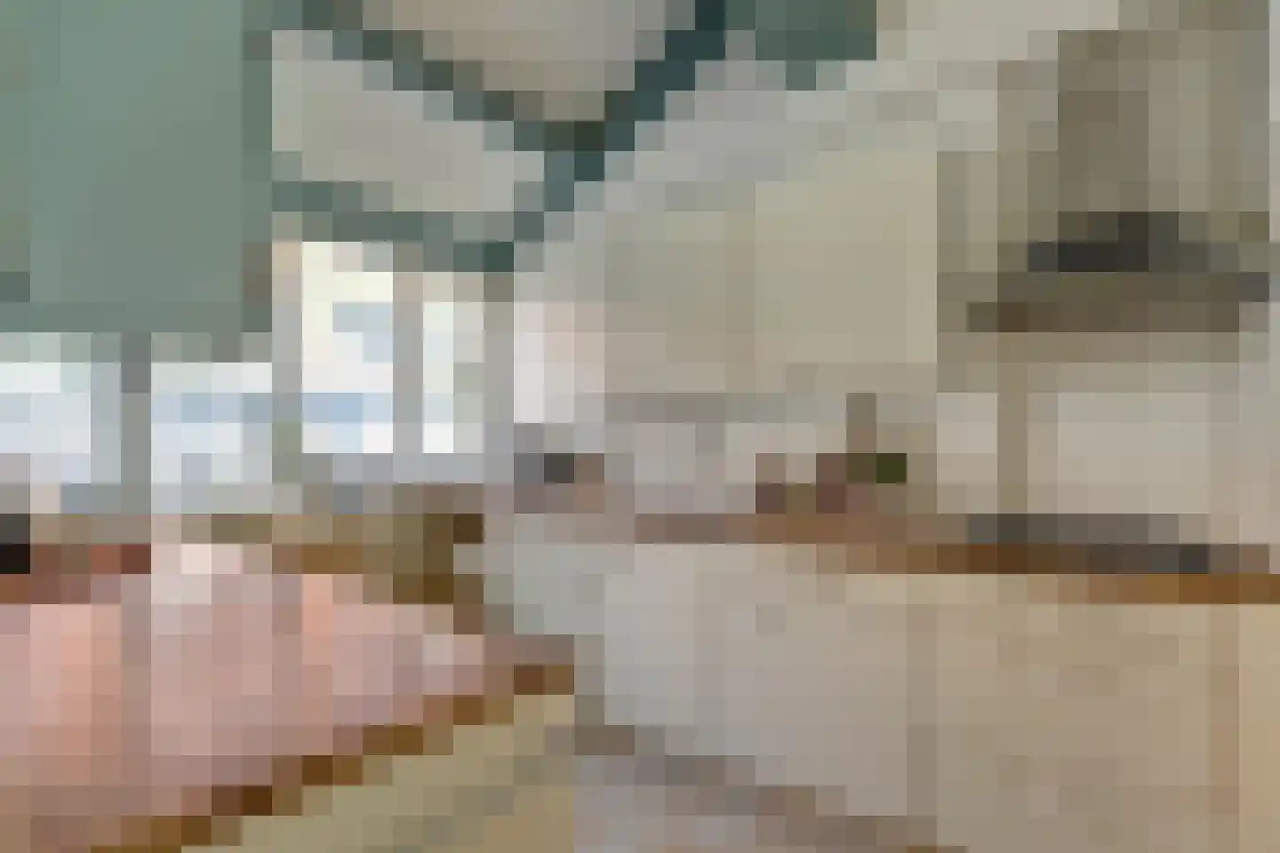 Rietzoom 137 Gouda thumbnail 16
