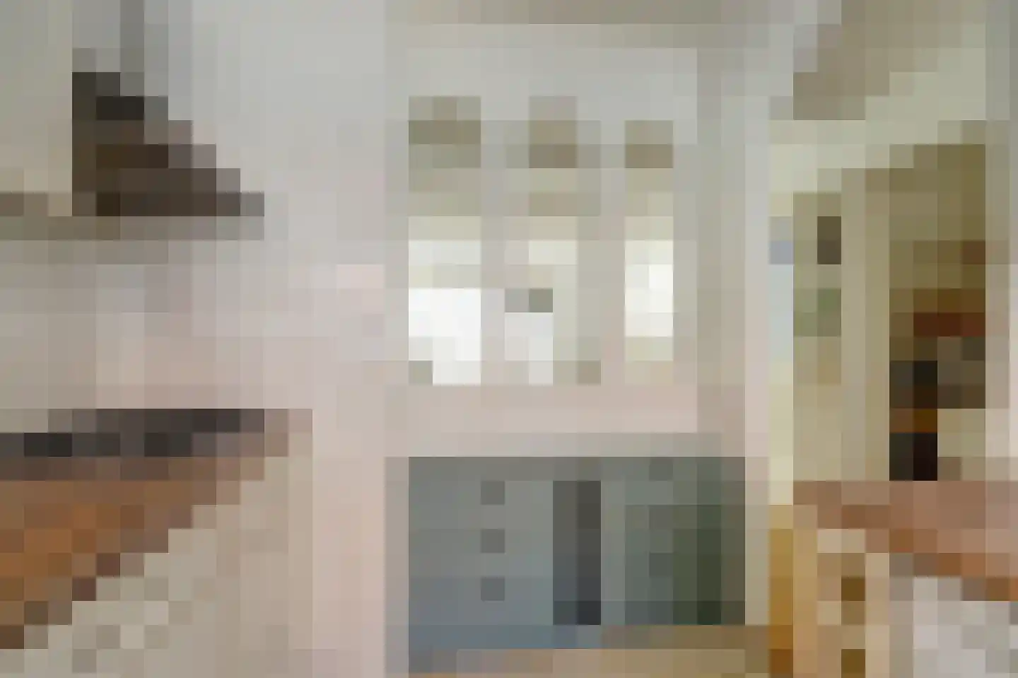 Rietzoom 137 Gouda thumbnail 17