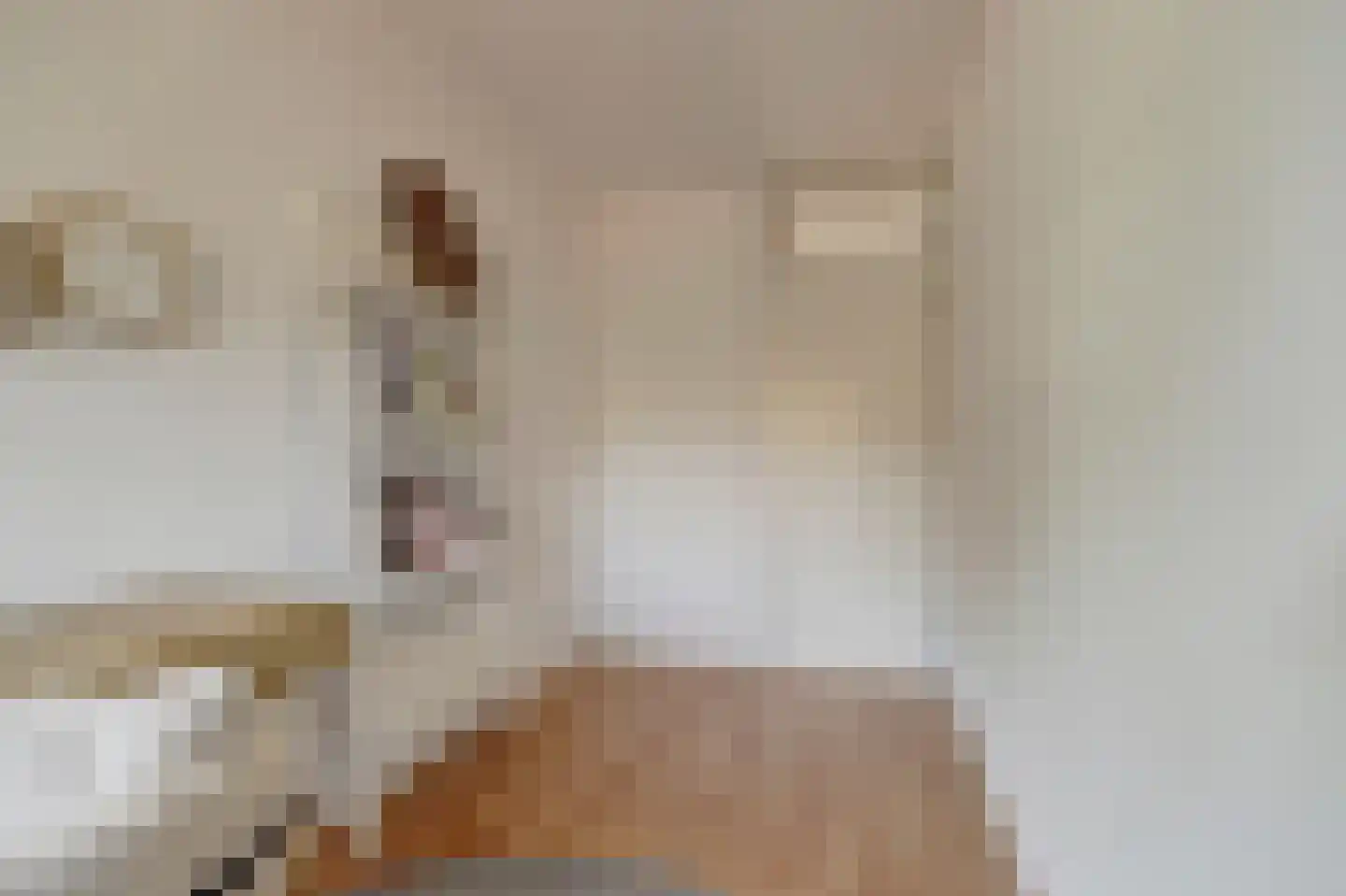 Rietzoom 137 Gouda thumbnail 19
