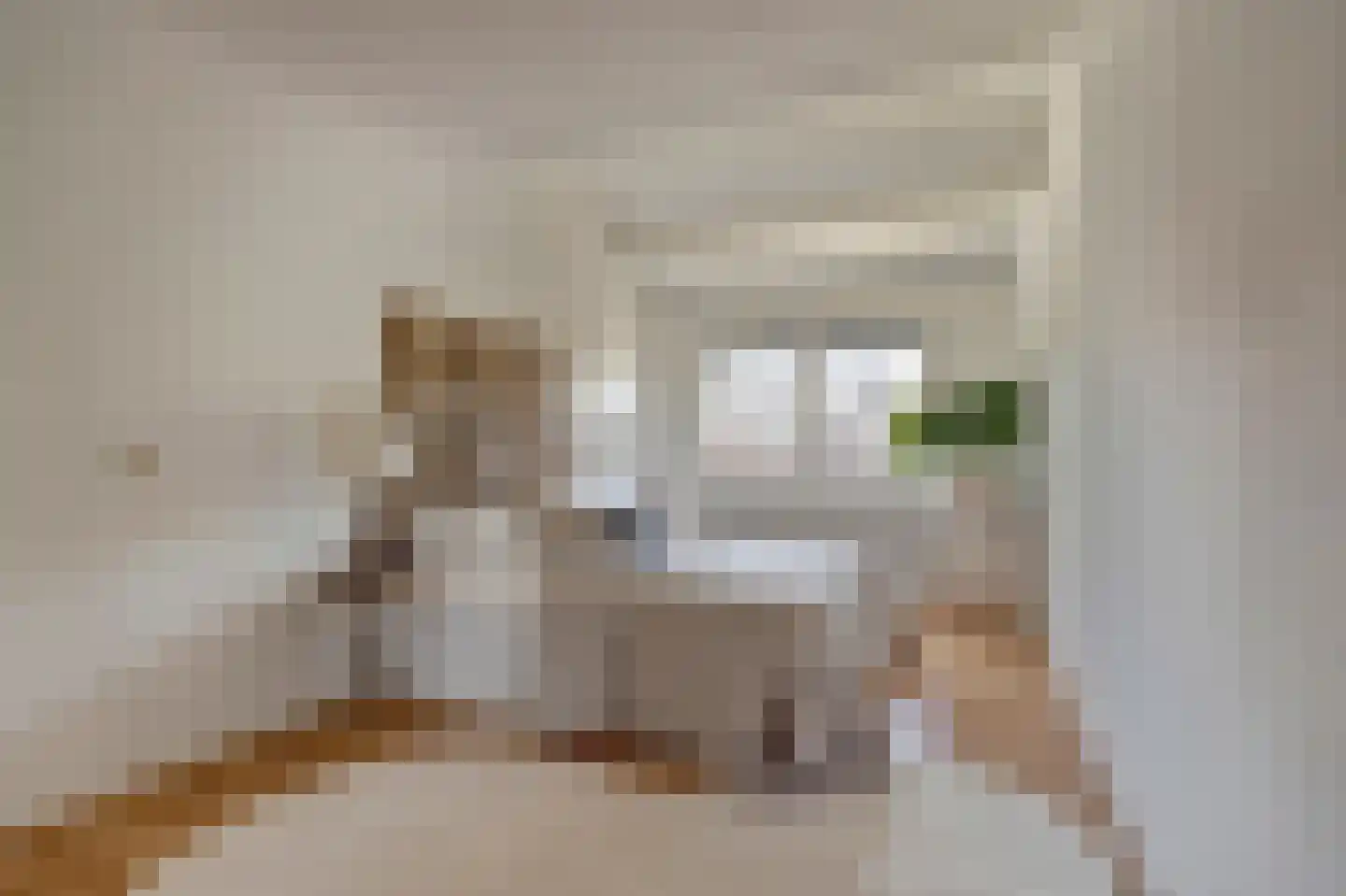 Rietzoom 137 Gouda thumbnail 22