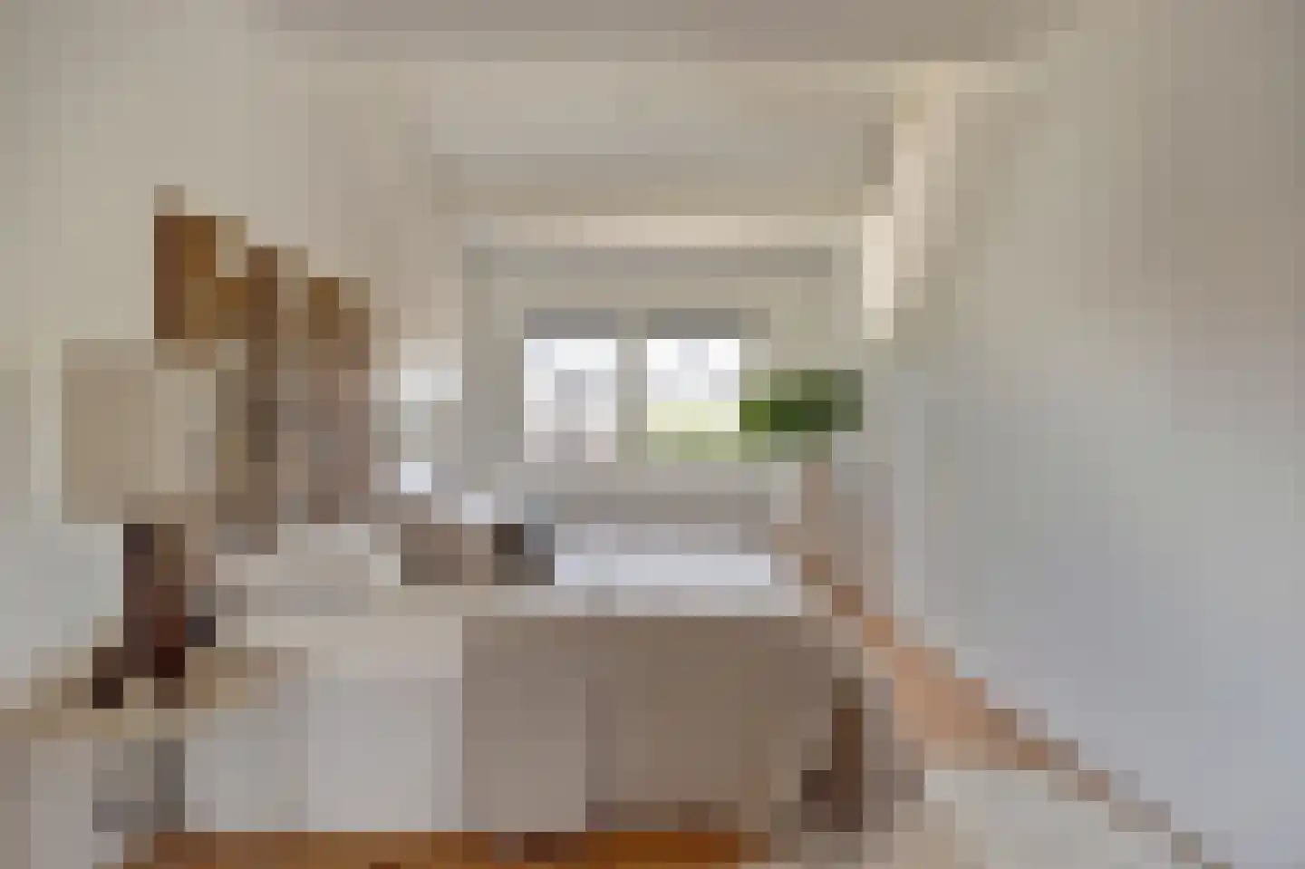 Rietzoom 137 Gouda thumbnail 23