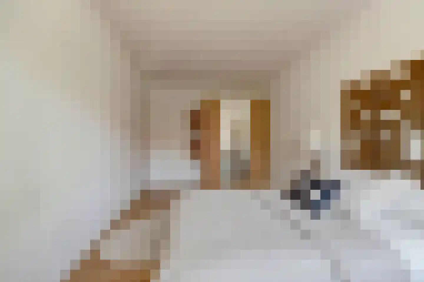 Rietzoom 137 Gouda thumbnail 24