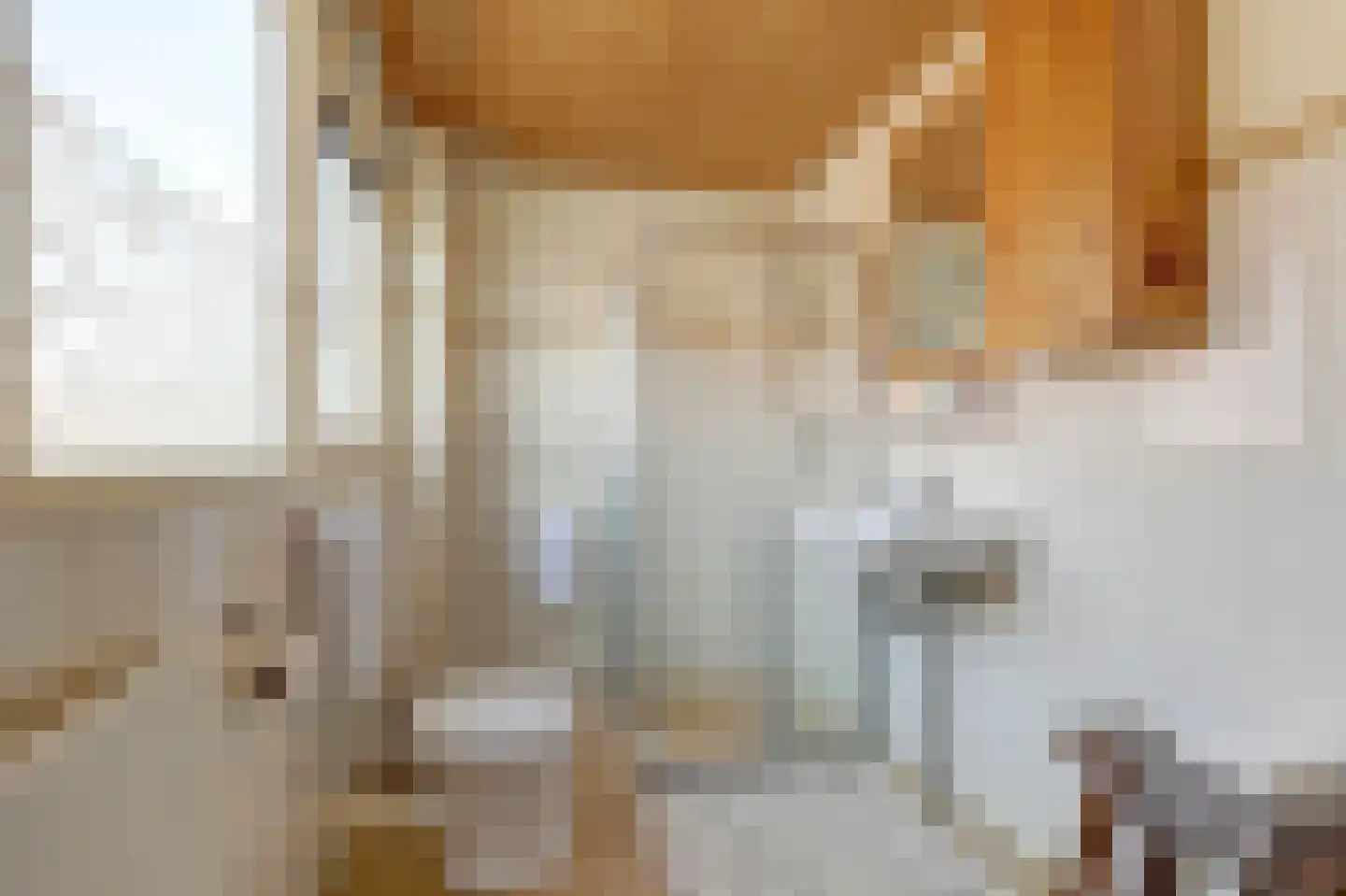 Rietzoom 137 Gouda thumbnail 25