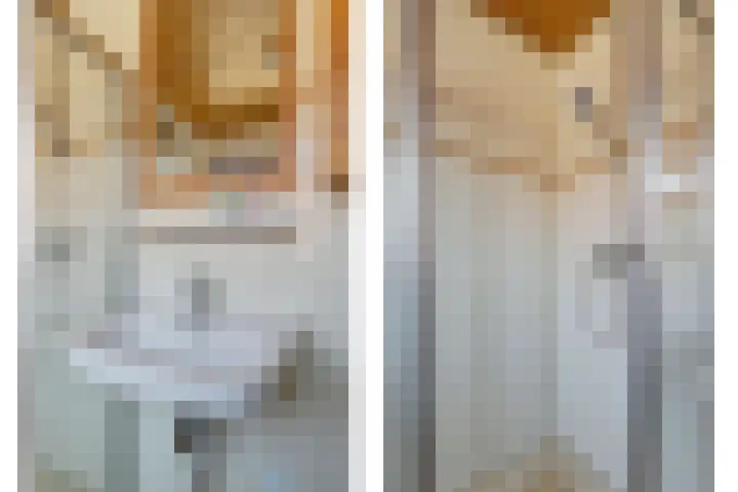 Rietzoom 137 Gouda thumbnail 26