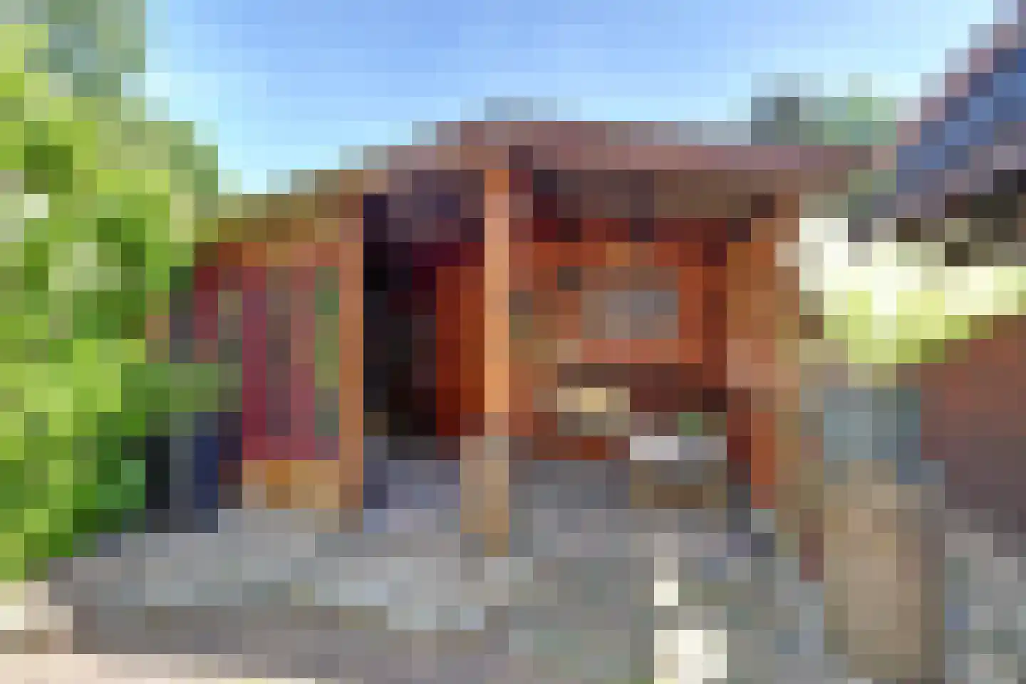 Rietzoom 137 Gouda thumbnail 32