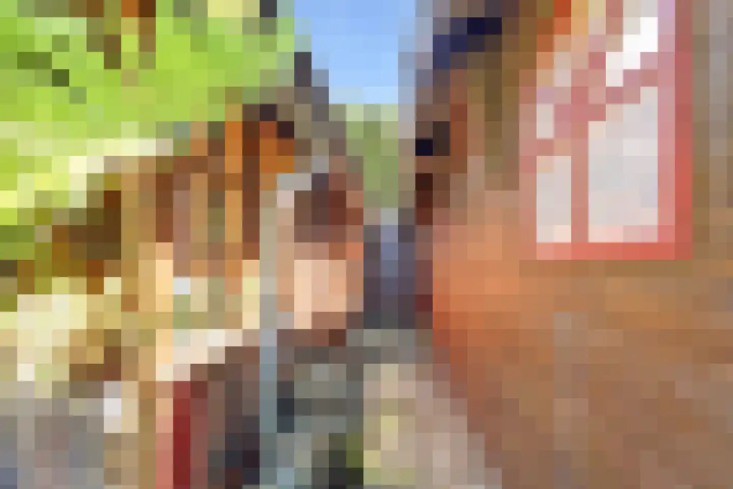 Rietzoom 137 Gouda thumbnail 33