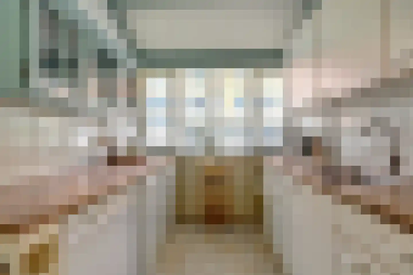 Rietzoom 137 Gouda thumbnail 4