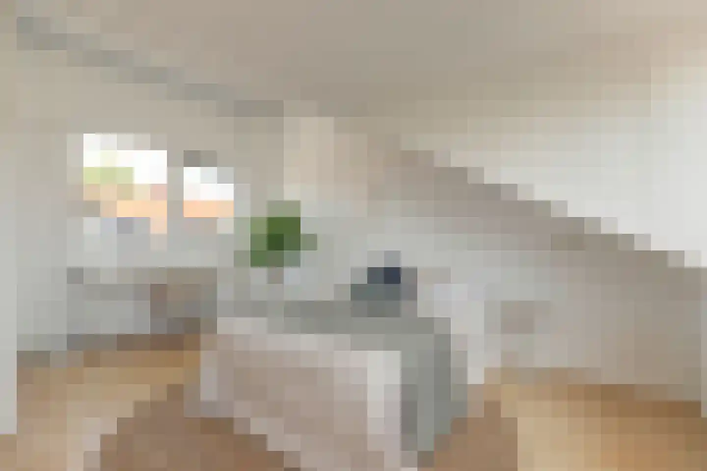 Rietzoom 137 Gouda thumbnail 5