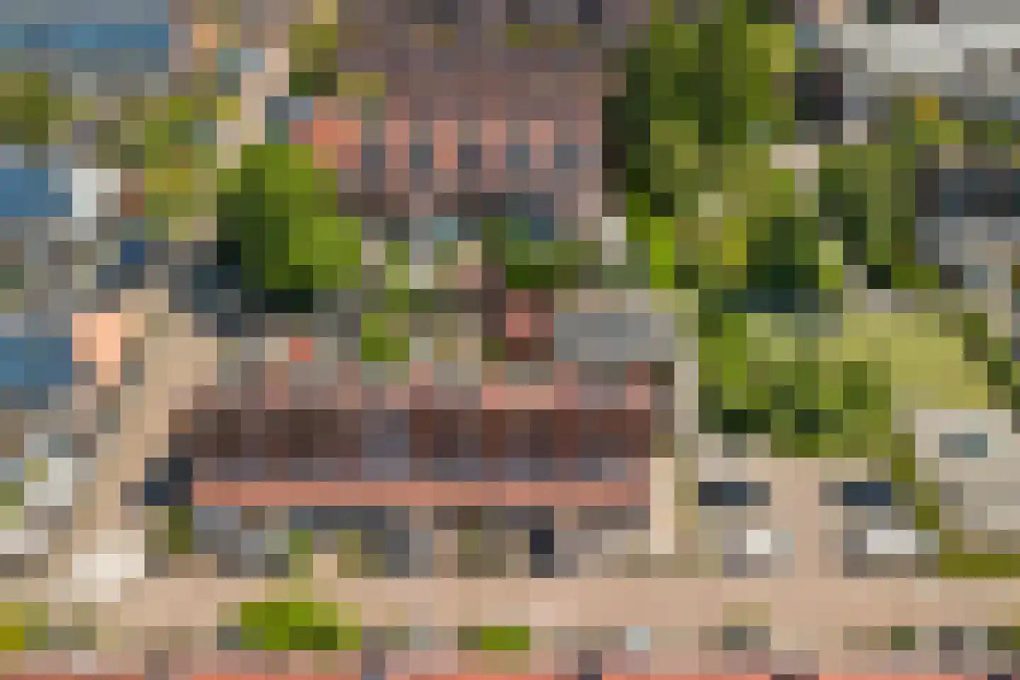 Rietzoom 137 Gouda thumbnail 7