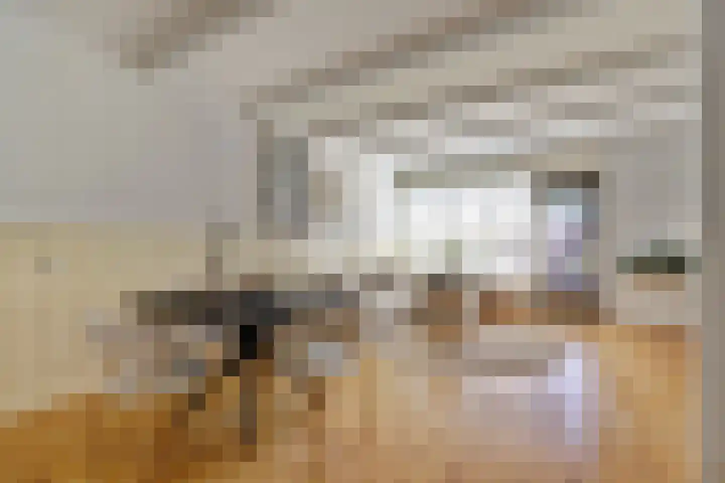 Rietzoom 137 Gouda thumbnail 8